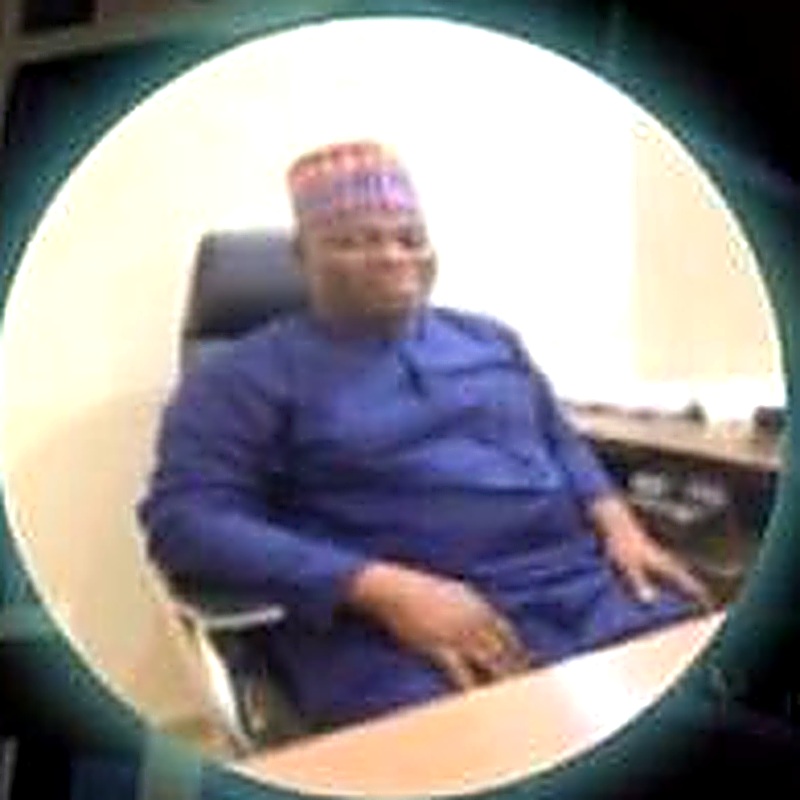Portrait of David Olayinka Sokoya, Group Managing Director